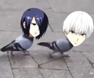 😎 feb3ffb8 paloma, anime, gracioso, pájaros, meme telegram sticker