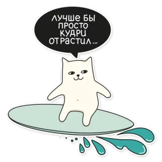 🏄 6a7f1fb3 ЛУЧШЕ БЫ ПРОСТО КУДРИ ОТРАСТИЛ... gatto, surf, adesivo, divertente, animale, spiaggia, onda telegram sticker