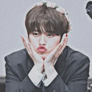 🥀 9b9a1afc Kpop, Idol, Blumenkranz, Mann, Süß, Koreanisch telegram sticker