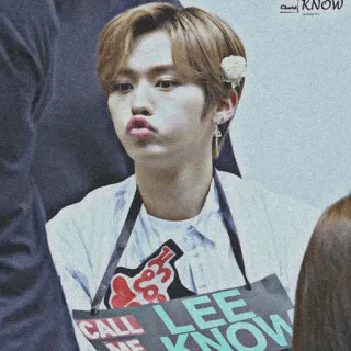 🥀 d201429e Lee Know CALL LEE ME KNOW K-Pop, Idol, Sänger, Fan, Sticker, Lee Minho, Stray Kids telegram sticker