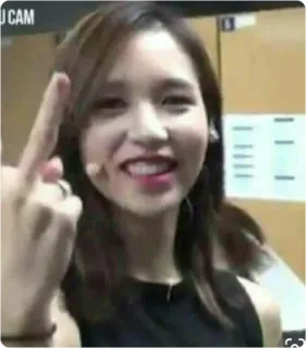 🙊 0d8f0cc1 offensive gesture, middle finger, woman, person telegram sticker