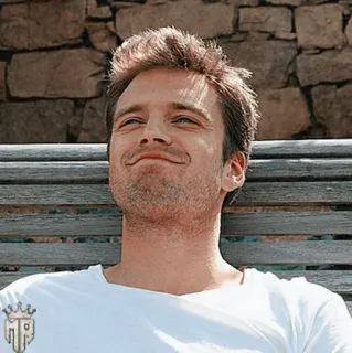 🎖 03046973 Sebastian Stan acteur, beroemdheid, portret, man telegram sticker