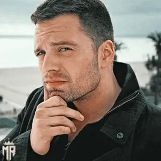 🎖 043144ee Sebastian Stan acteur, portret, man, beroemdheid telegram sticker