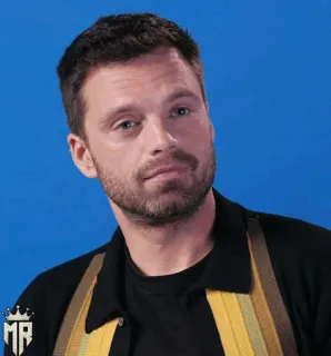 🎖 19f520bd Sebastian Stan acteur, portret, beroemdheid, man telegram sticker