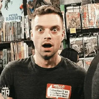 🎖 ac6521dc Sebastian Stan HELLO my name is Sebastian Stan Bucky Barnes/Winter Soldier White Wolf acteur, Sebastian Stan, Bucky Barnes, Winter Soldier, Marvel telegram sticker