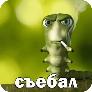 🚬 079876ba съебал lagarta, cigarro, desenho animado, texto russo whatsapp sticker