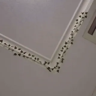 @AEMIXX1E telegram stickers