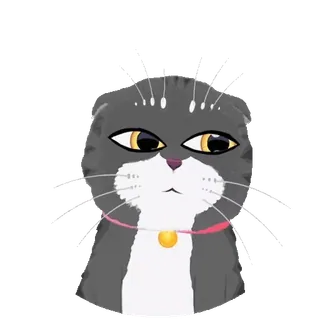 🤨 aac5c0b1 kucing, kucing abu-abu, hewan peliharaan, hewan, hewan peliharaan, mamalia, anak kucing telegram sticker