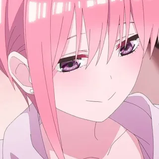 🦊 3b6d5e3d whatsapp sticker