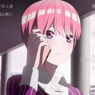 🦊 486e62c5 whatsapp sticker