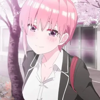 🦊 53aaaba9 whatsapp sticker