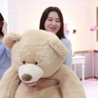 🍰 7313cf14 miś, pluszak, plusz, słodki, zabawka, kobieta, wewnątrz telegram sticker