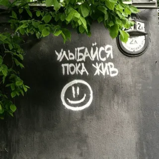 👨‍🎨 73570350 УЛЫБАЙСЯ
ПОКА ЖИВ sorriso, testo, graffiti, russo, positivo telegram sticker