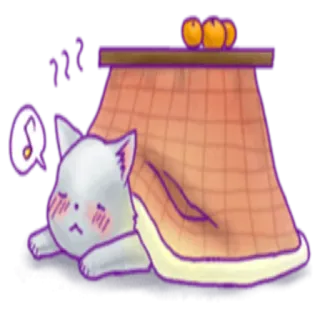 😴 a0a326bc Katze, kawaii, niedlich, schläfrig, Kotatsu, Winter, warm, entspannt whatsapp sticker