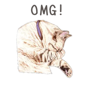 😵 9249ab7a cat, animal, pet, feline, domestic cat, sleepy, cute whatsapp sticker