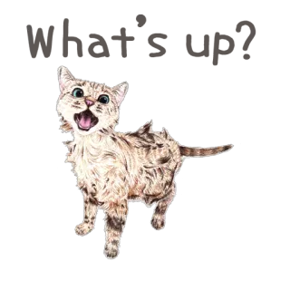 🐱 98b869f4 cat, kitten, animal, pet, cute, feline whatsapp sticker