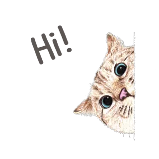 🙌 f9fc8086 cat, animal, pet, kitten, cute, eyes whatsapp sticker