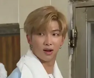 🧇 1ab14647 RM RM, BTS, K-POP, 有名人, 人 telegram sticker