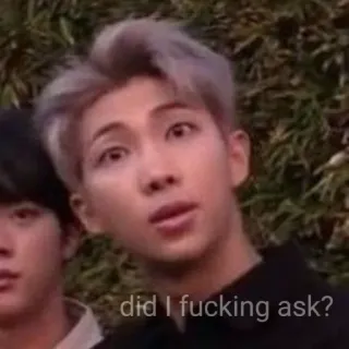 🧇 b8ba37cb did I fucking ask? kpop, ミーム, 不快, 質問 telegram sticker