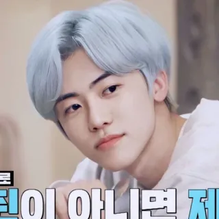 🧺 269589ba 로 틴이 아니면 제 ritratto, persona, coreano, capelli blu telegram sticker