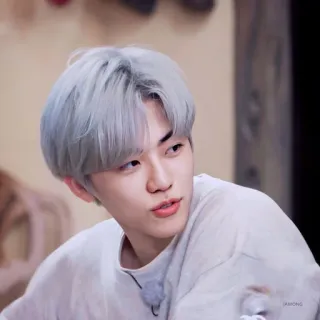 🧺 2b3d1999 telegram sticker