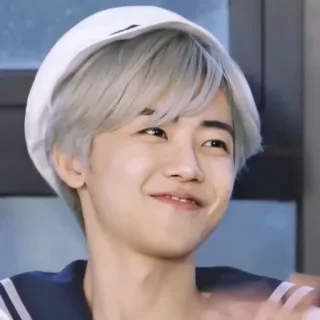 🧺 9155451c persona, cappello da marinaio, sorridente, ritratto telegram sticker