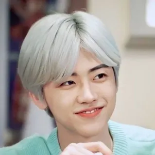 🧺 b32f378c Jaemin kpop, idol, celebrità, cantante, nct, nct dream, jaemin telegram sticker