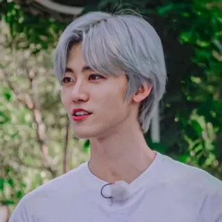 🧺 e1c6b0d7 uomo, ritratto, persona, camicia bianca, capelli argentati, maschio telegram sticker