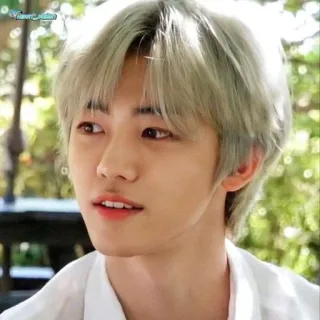 🧺 e8a9f986 telegram sticker