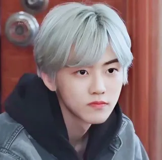 🧺 fa6cc6a7 telegram sticker