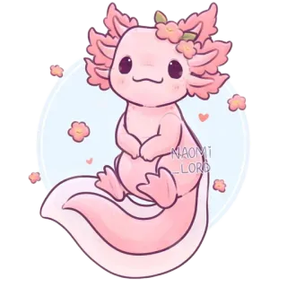 🌸 c13e7672 NAOMI_LORD axolotl, rosa, carino, fiore, disegno, cartone animato telegram sticker