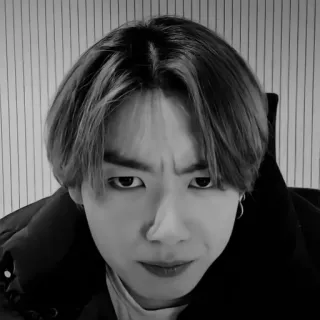 🌟 11b028ba telegram sticker