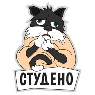🤕 5c6c8f4e СТУДЕНО kot, kreskówka, zimno, rosyjski, zwierzę, naklejka whatsapp sticker