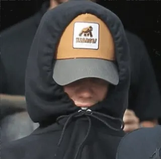 😃 64eb736e BARROW'S cappello, gorilla, moda, abbigliamento, felpa con cappuccio, streetwear telegram sticker