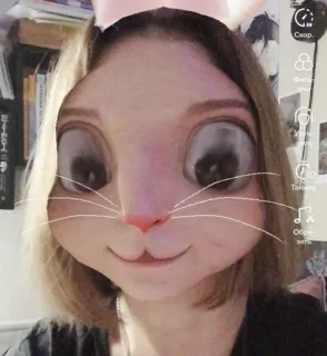 😊 58452f9a Hase, Filter, Gesicht, Ohren, Cartoon whatsapp sticker