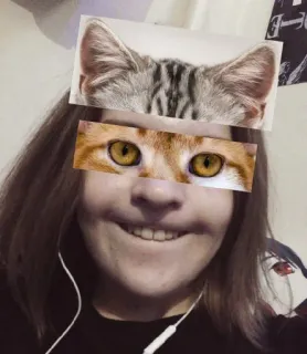 😺 f245c4a3 Katze, Auge, Tier whatsapp sticker