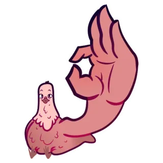 👌 5ebec3c8 OK 제스처, 손 제스처, 비둘기, 새, 밈 telegram sticker