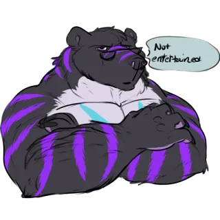 🇳🇴 f1ca0597 Not entertained 퍼리, 곰, 의인화, 불만, 냉소적, 동물 telegram sticker