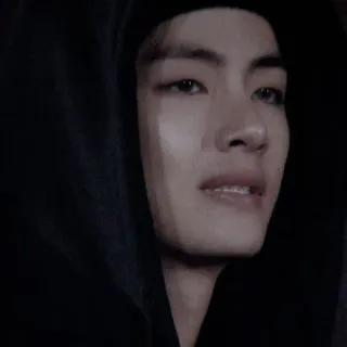 ❌ 965bb024 V personne, célébrité, homme, sweat à capuche, portrait telegram sticker