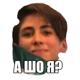 😅 ba3c6421 А ШО Я? ロシア語, ミーム, 質問, 表情, 顔, 頭, 人, 表情, 尋ねる telegram sticker