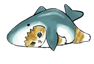 🥱 48cfa021 gato, tubarão, animal, animal de estimação, fofo, adesivo whatsapp sticker