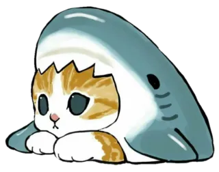 😕 6b546eed gato, tubarão, animal, animal de estimação, fofo, adesivo whatsapp sticker