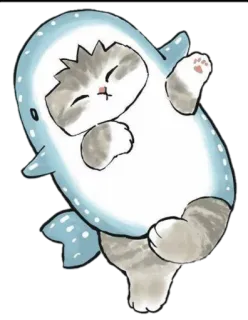 🎉 faf65b8b gato, tubarão, animal, fofo, adesivo, desenho animado whatsapp sticker