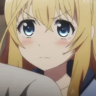 🙀 14e8ee78 whatsapp sticker