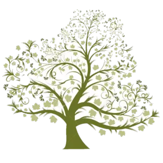 🍁 0c898d6a arbre, nature, plante, feuilles, vert, feuillage whatsapp sticker