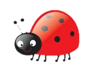 🐞 3af7b991 coccinelle, insecte, mignon, rouge, insecte, animal, nature whatsapp sticker