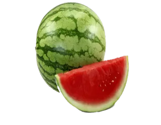 🍉 df87c4e8 pastèque, fruit, nourriture, été, frais, sucré, sain whatsapp sticker