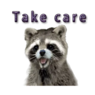 👋 5947b526 Take care procione, animale, prenditi cura, saluto, carino telegram sticker