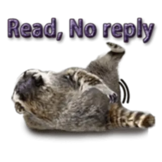 Naughty Raccoon (FULL) [English] @Woshizharbor telegram stickers