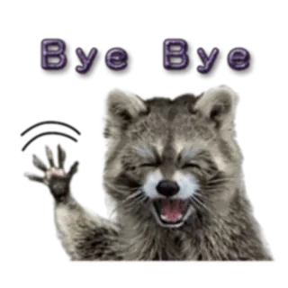 👋 7343fea1 Bye Bye procione, ciao, addio, animale, salutando telegram sticker